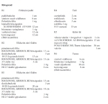 Vácszentlászló Частный дом 7