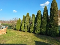 Kistarcsa Частный дом 17