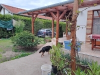 Hévízgyörk Casa Familiala 1