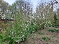 Hévízgyörk Casa Familiala 10