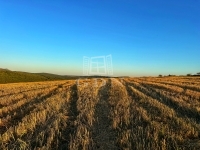 Szokolya 土地 12