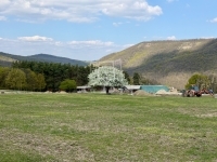 Szokolya 土地 7