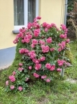 Váchartyán Частный дом 25