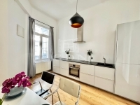 Budapest VI. kerület 公寓房（砖头） 2