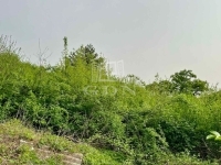 Zalaegerszeg Building lot 4