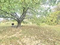 Nagypáli Family House 18