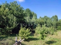 Bakonynána Частный дом 19